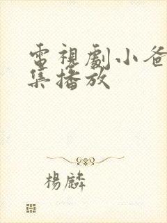 电视剧小爸爸全集播放