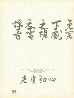 锦衣之下免费观看电视剧完整版高清