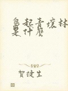 枭起青壤林喜柔是什么