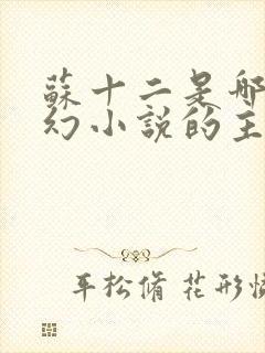 苏十二是哪部玄幻小说的主角