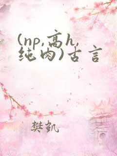 (np,高h,纯肉)古言