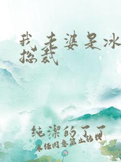 我老婆是冰山女总裁