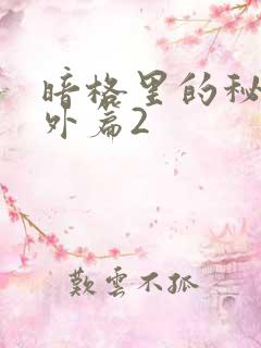 暗格里的秘密番外篇2