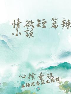 情欲短篇辣文肉小说