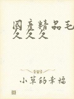 国产精品毛片久久久久