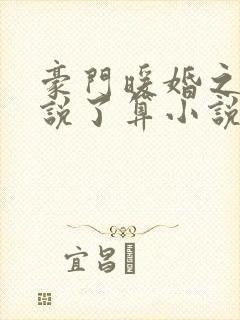 豪门暖婚之夫人说了算小说下载