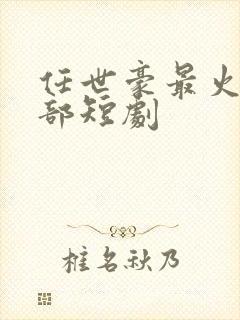 任世豪最火的三部短剧