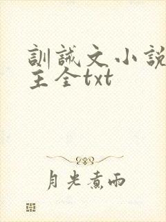 训诫文小说双男主全txt