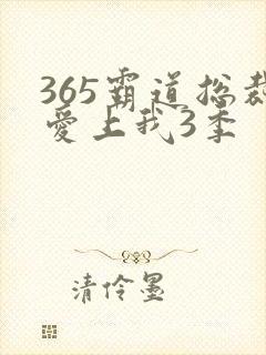 365霸道总裁爱上我3季