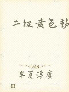 二级黄色动作片