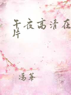 午夜高清在线毛片