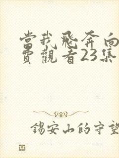 当我飞奔向你免费观看23集