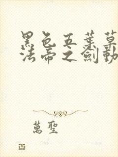 黑色五叶草:魔法帝之剑动漫未删减