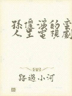 孙俪演的蛮好的人生电视剧免费观看