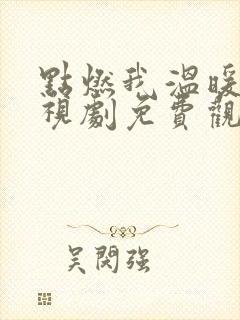 点燃我温暖你电视剧免费观看30