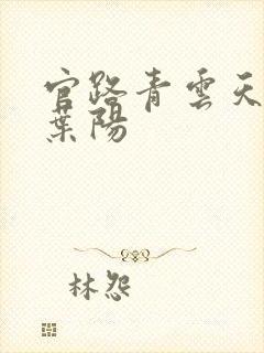 官路青云天骄,叶阳