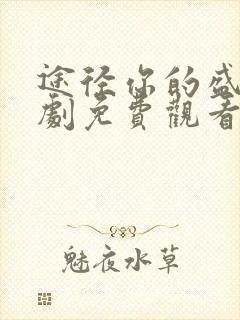 途径你的盛放短剧免费观看完整版