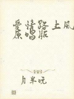 爱情路上风雨多原唱版