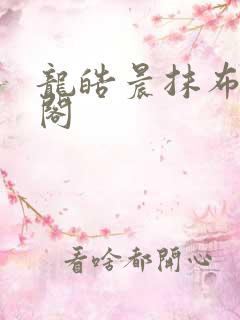 龙皓晨抹布笔趣阁