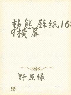 动态壁纸16:9横屏