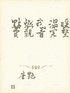 点燃我温暖你免费观看完整版电视剧