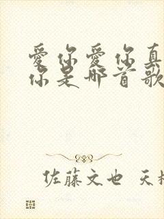 爱你爱你真的爱你是哪首歌的歌词