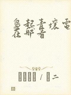 枭起青壤电视剧在哪看