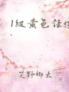 1级黄色录像片.