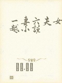 一妻六夫女主穿越小说