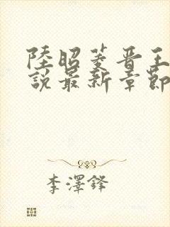 陆昭菱晋王的小说最新章节