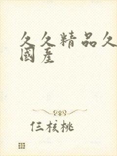 久久精品久久久国产