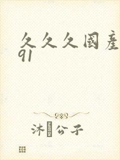 久久久国产精品91