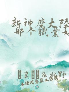 新神魔大陆手游 哪个职业好