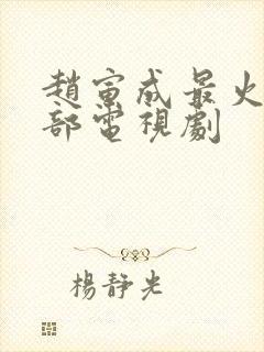 赵寅成最火的5部电视剧