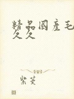 精品国产毛片久久久