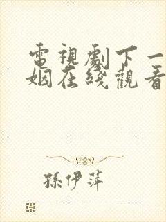 电视剧下一站婚姻在线观看免费