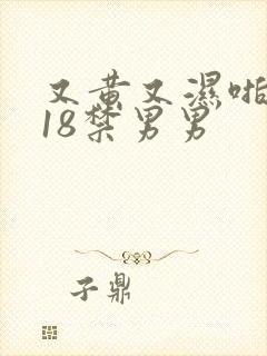 又黄又湿啪啪响18禁男男