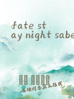 fate stay night saber线(2006)