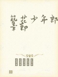 簪花少年郎最新章节