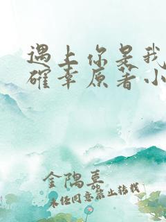 遇上你是我的小确幸原著小说