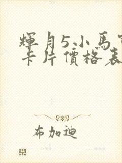 辉月5小马宝莉卡片价格表