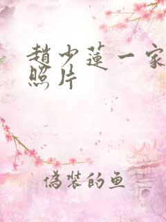 赵少莲一家三口照片