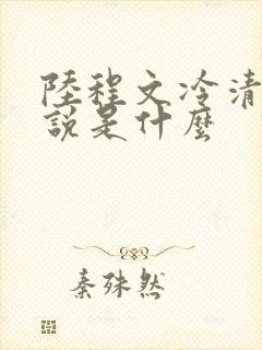陆程文冷清秋小说是什么