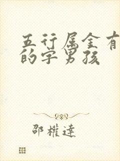 五行属金有涵养的字男孩