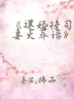 《退婚后司少追妻火葬场》