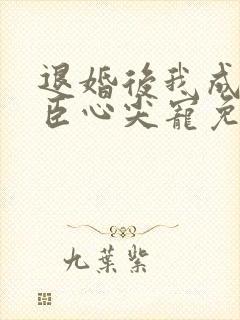 退婚后我成了权臣心尖宠免费阅读全文