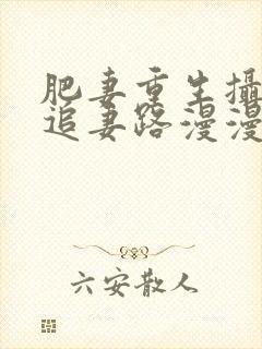 肥妻重生摄政王追妻路漫漫全集