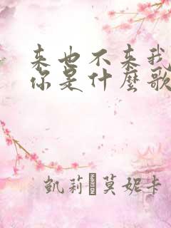 来也不来我都等你是什么歌