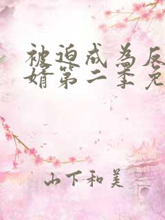 被迫成为反派赘婿第二季免费播放