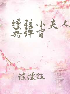 续弦小夫人小说无弹窗